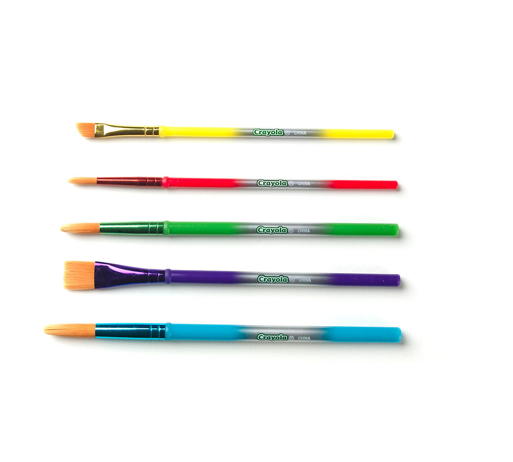 5 Assorted Premium Paint Brushes