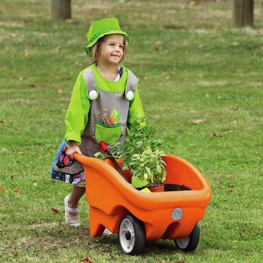 Large Wheelbarrow, 2 Wheel