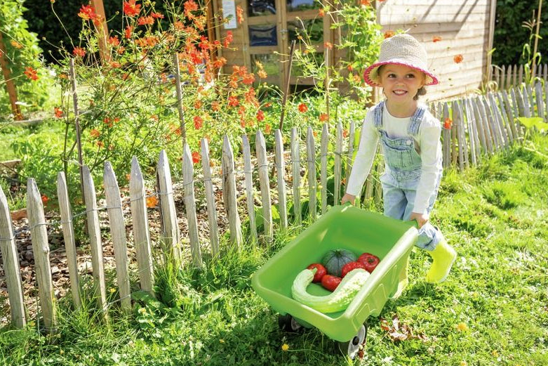 Small 2 Wheels Wheelbarrow