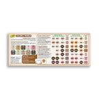 10 59ml Colors of The World Washable Paint Jars