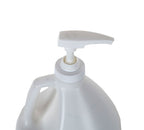 Paint Dispensing Pump