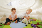 Sensory Igloo