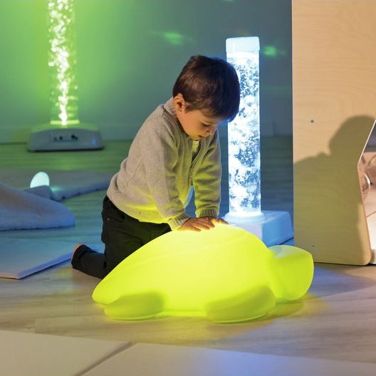 Manu Light Up Tortoise