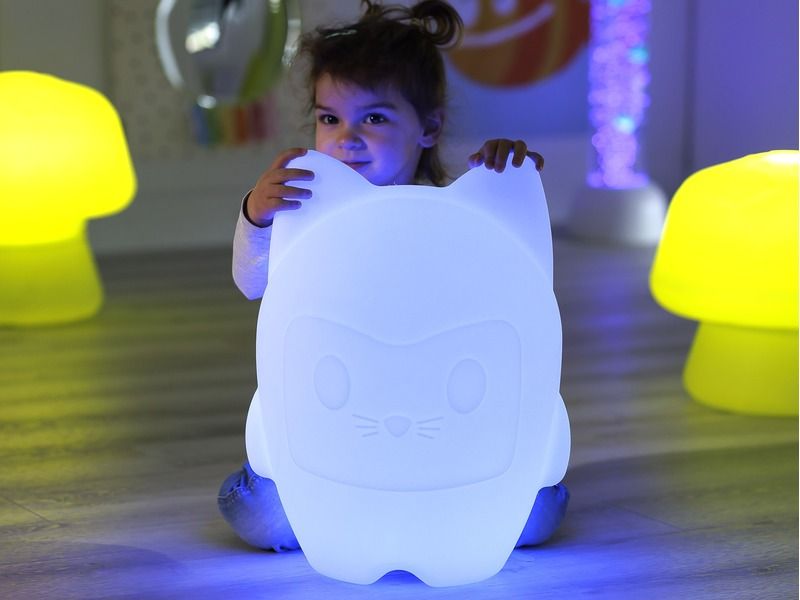 Roby The Light Up Cat