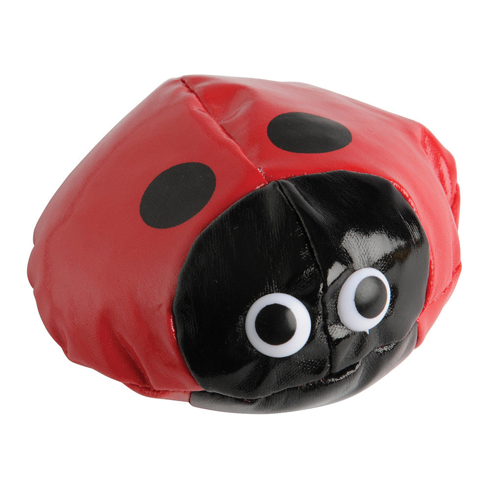 Lady Bug Bean Bag