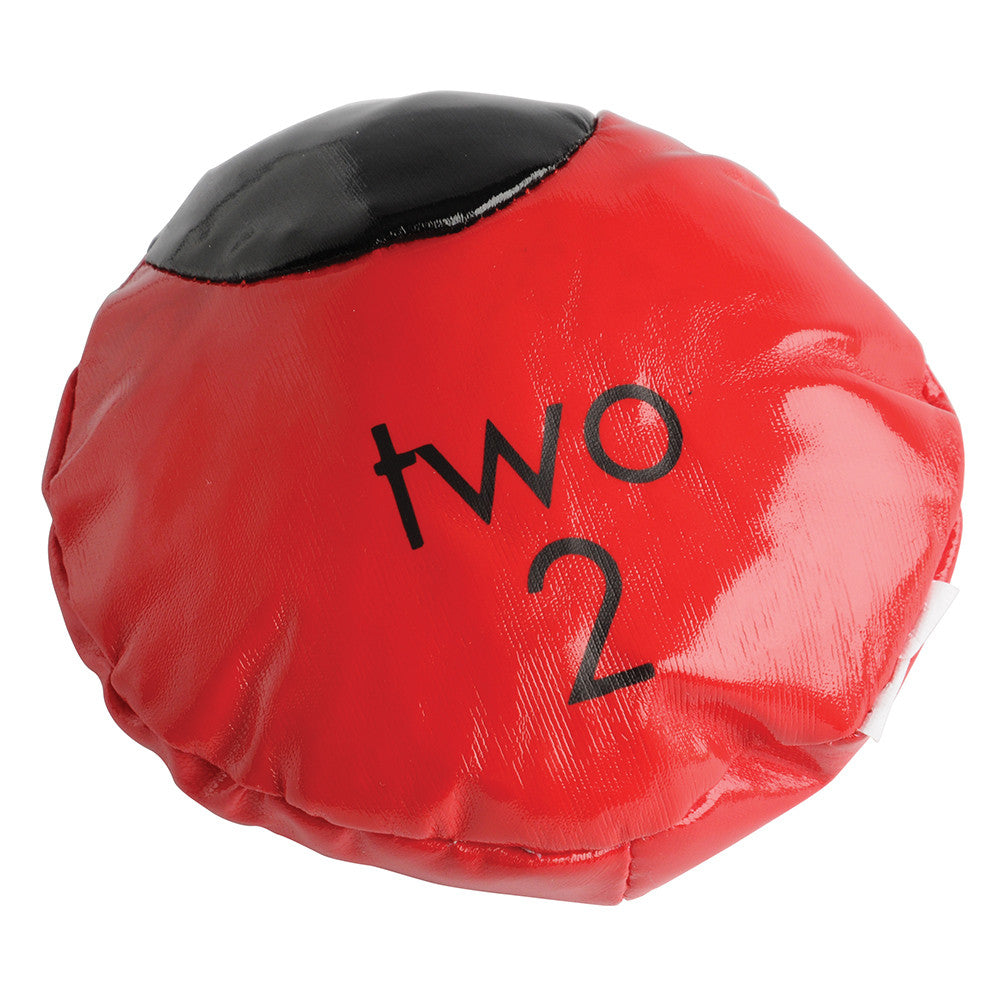 Lady Bug Bean Bag