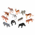 Jungle Animals